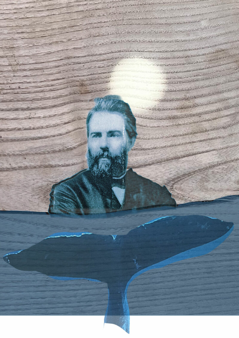 Werbepostkarte für "Melville & Moby Dick", Collage © Maike Krause